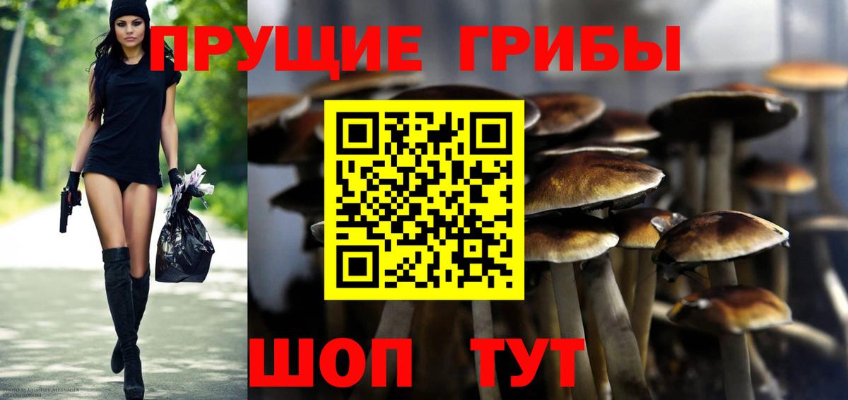 Стерлитамак  Псилоцибиновые грибы мухоморы  где купить наркотик  Вход с VPN 